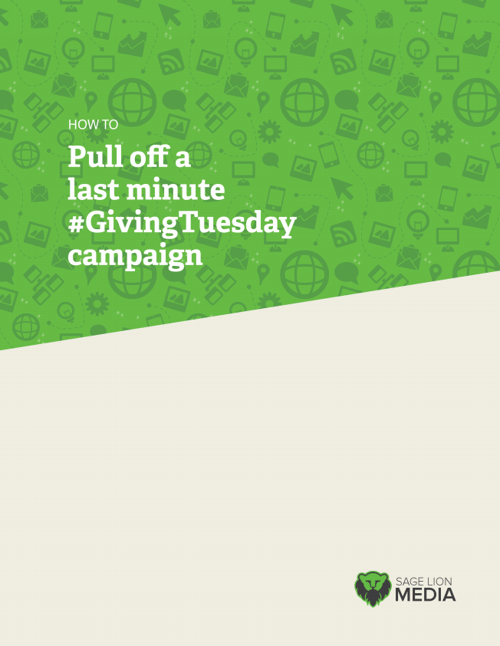 #GivingTuesday Campaign, Sage Lion Media